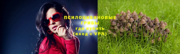 дмт Нягань