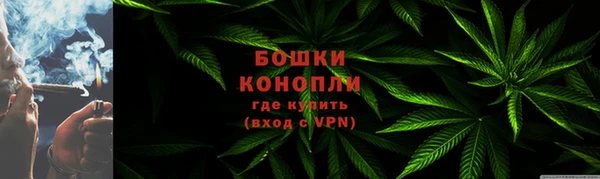 дмт Нягань