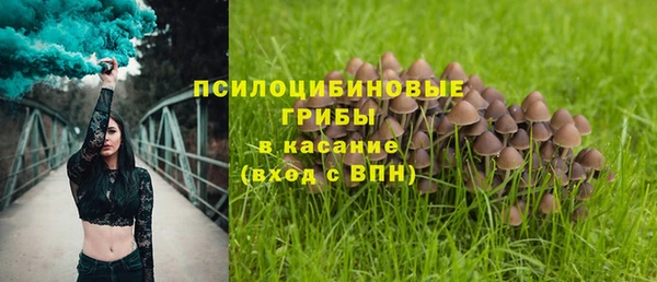 ALPHA-PVP Няндома