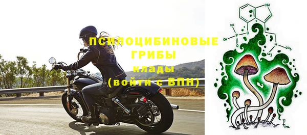 ALPHA-PVP Няндома